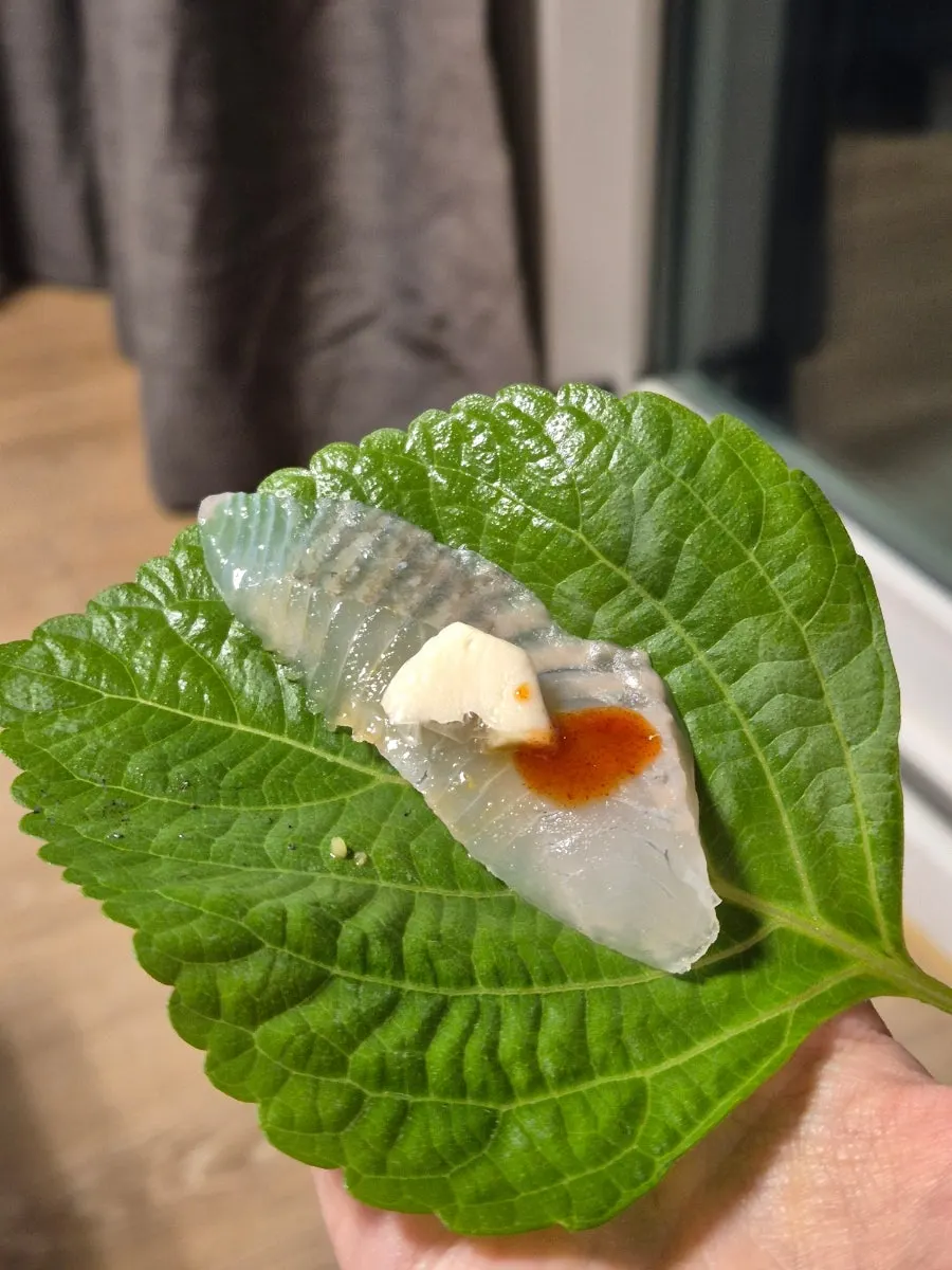 Mixing wasabi into soy sauce to dip the sashimi