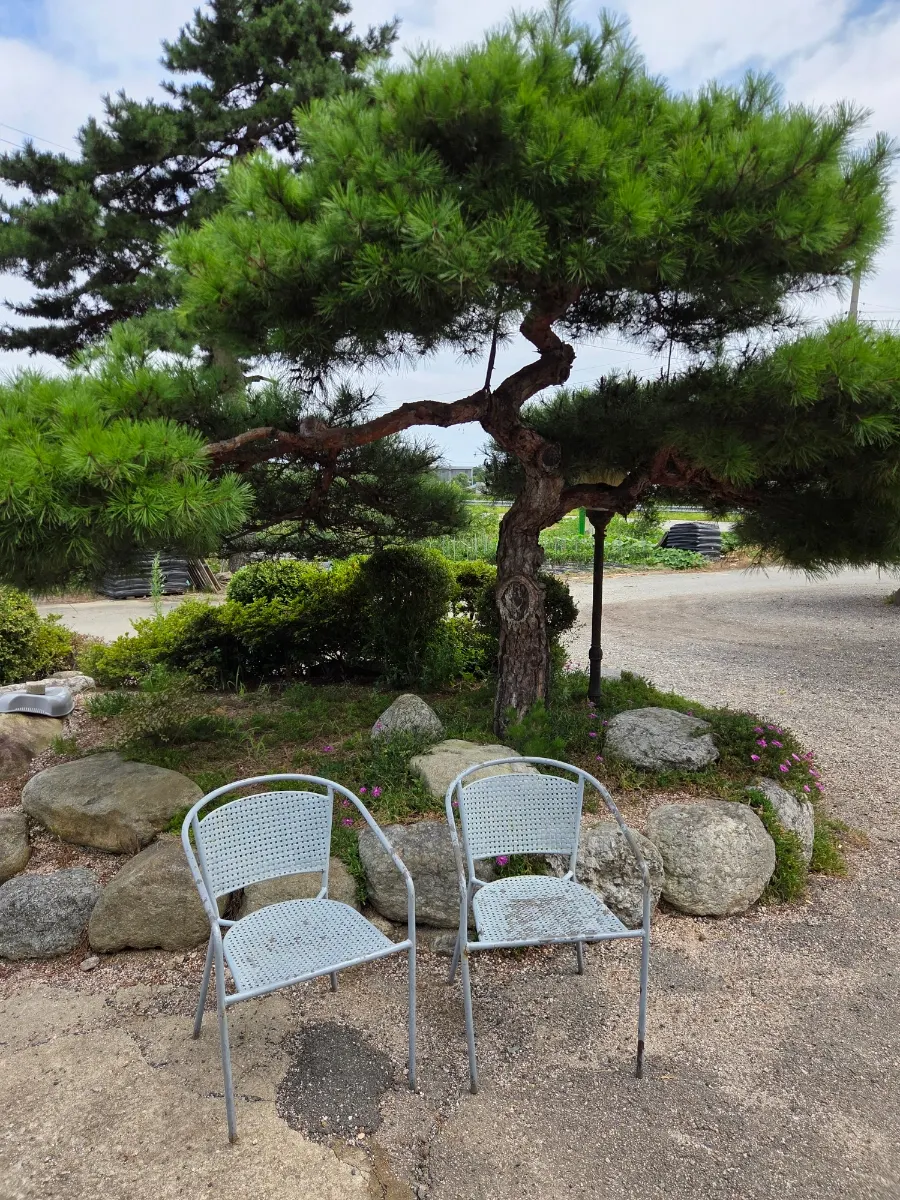 용촌고기집 야외 휴식 공간과 주차장