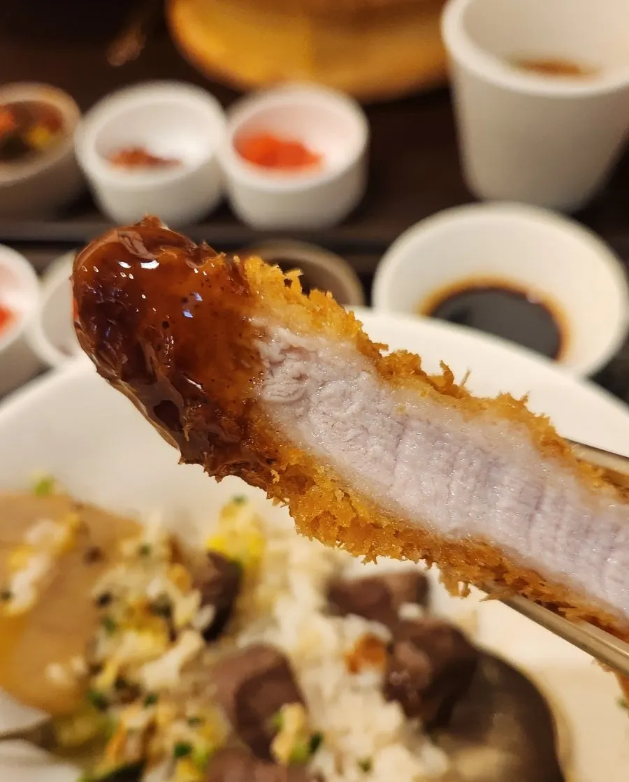 A piece of katsu with crispy breading