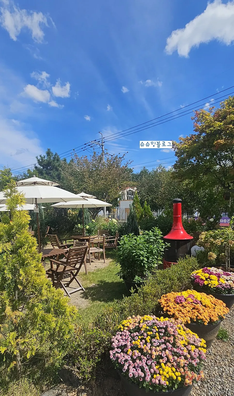 Exterior view of Baedagol Bakery House café