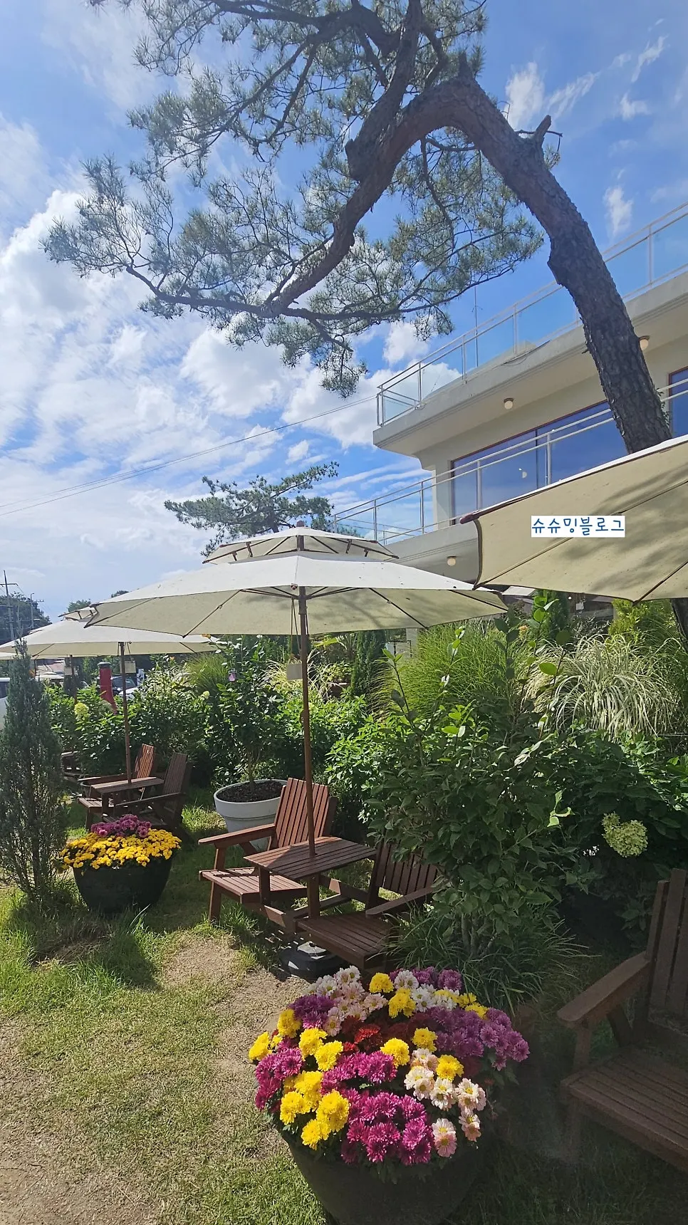 Garden with outdoor tables and chairs