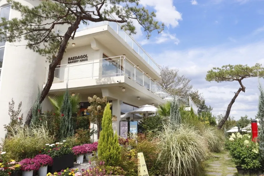 Main image of Baedagol Bakery House in Goyang