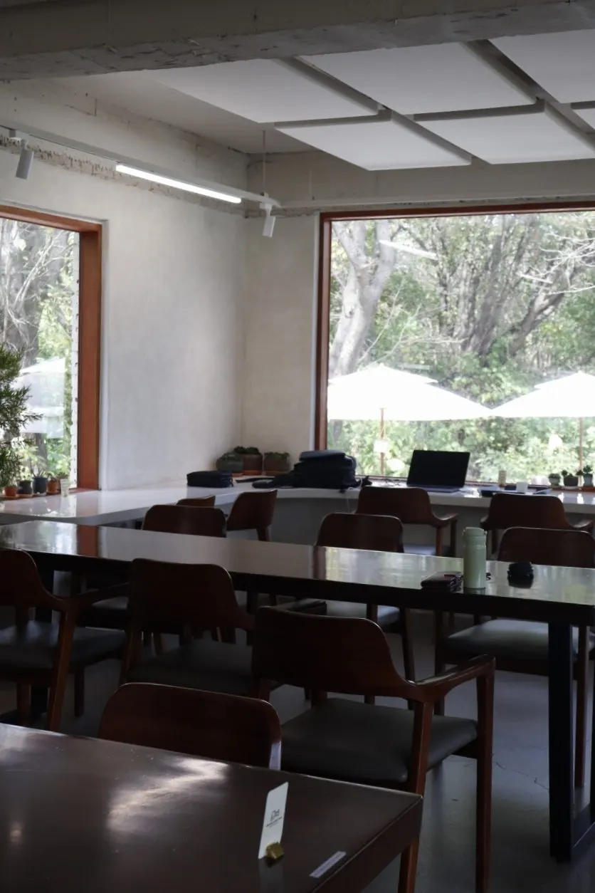 View of the lush, green garden café surrounded by trees