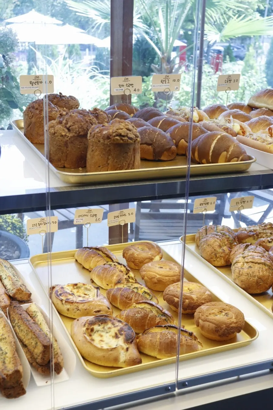 Covered, hygienic bread display case