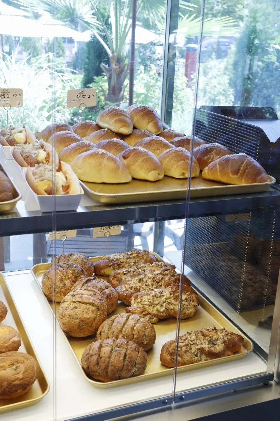 Various bakery breads arranged by type