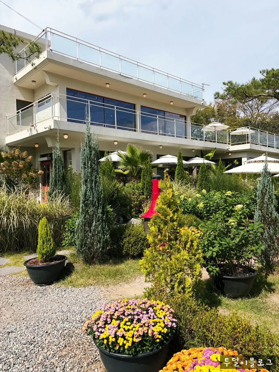 Plants and flowers in the Baedagol Bakery House garden