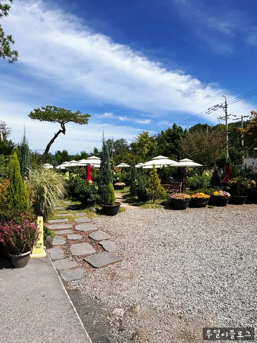 Garden path with green trees