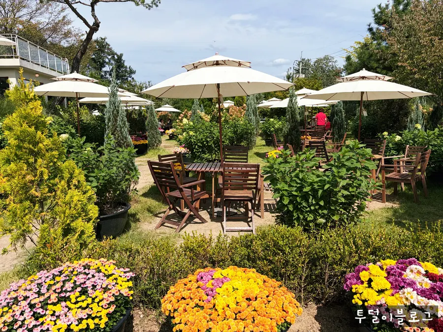 Garden view with outdoor terrace seating