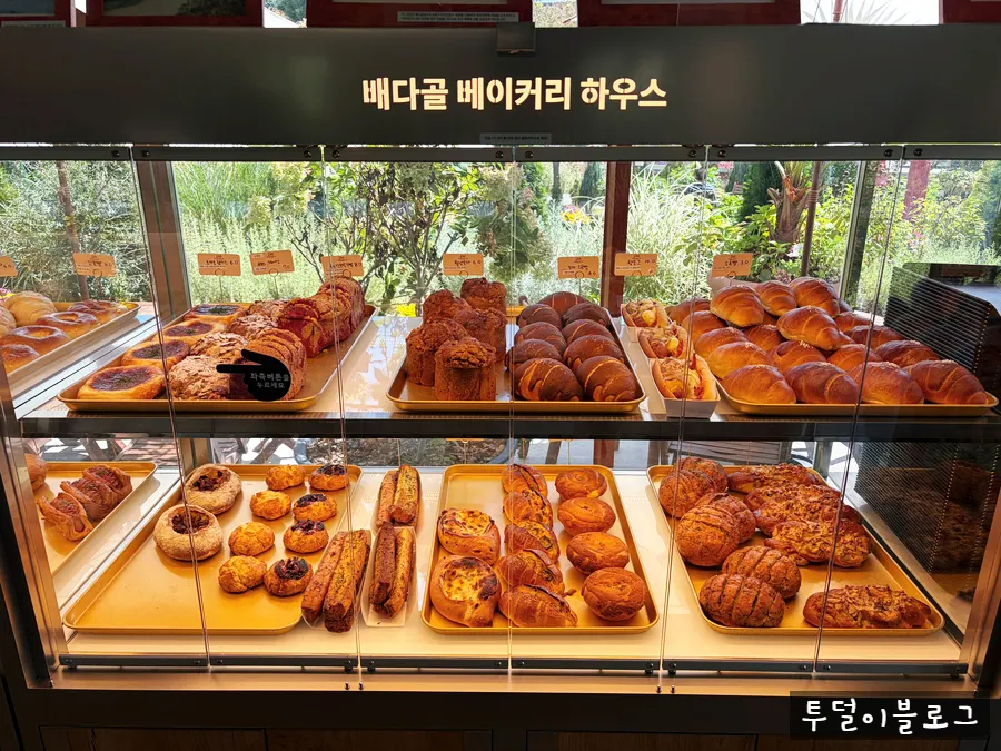 Various breads displayed in the showcase