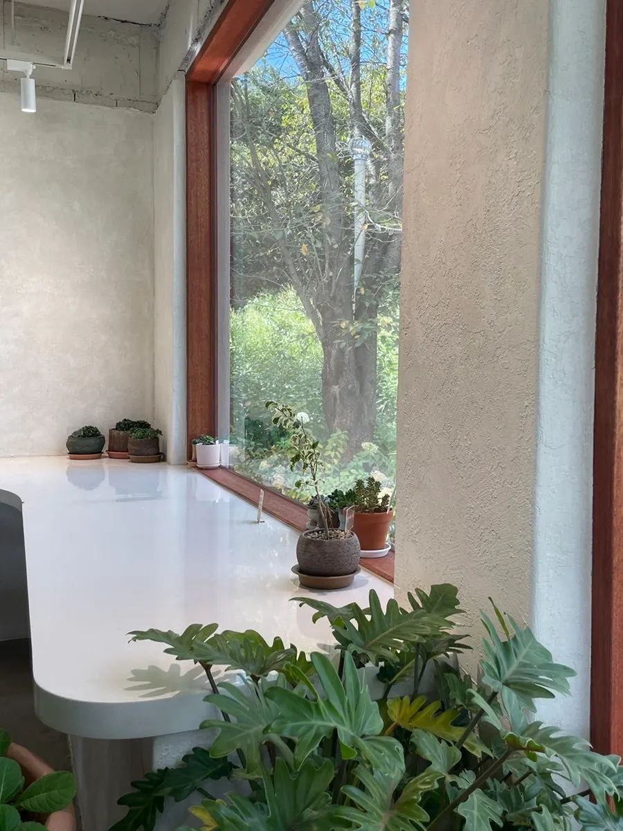 Café garden with lush green lawn