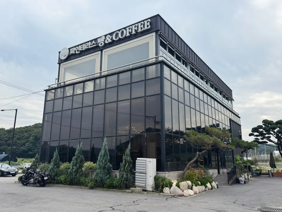 Pemandangan kafe bakeri Pine Terrace di Goyang