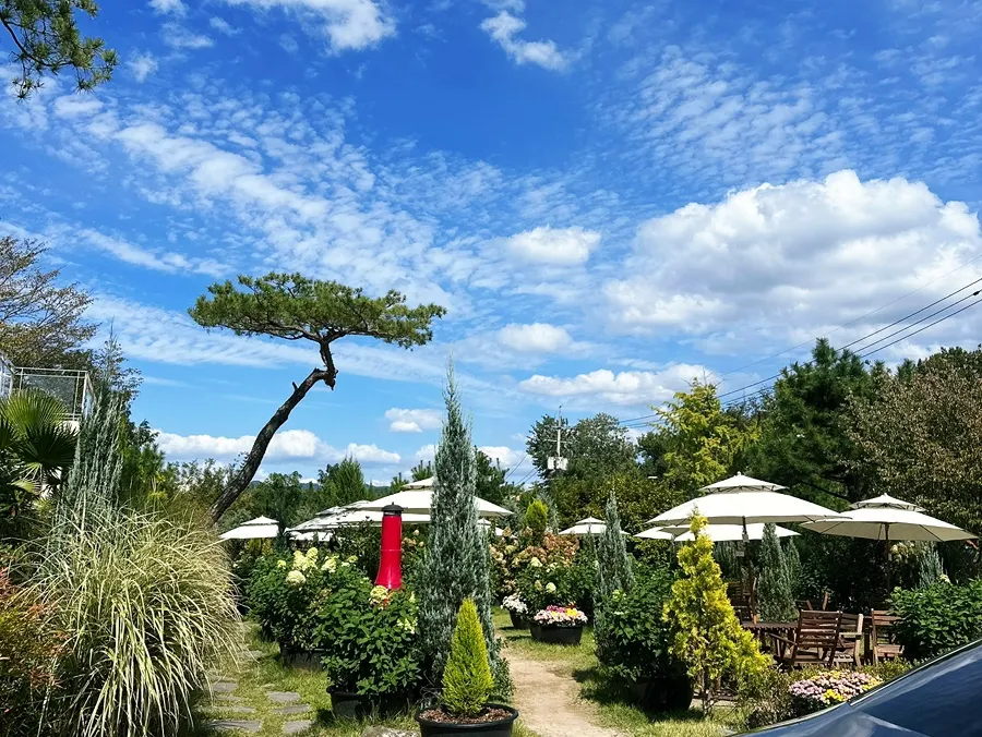 Outdoor space at the café