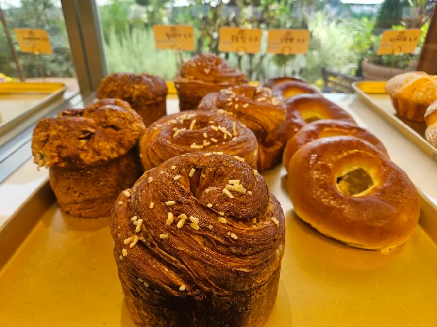 Tray of freshly baked bread