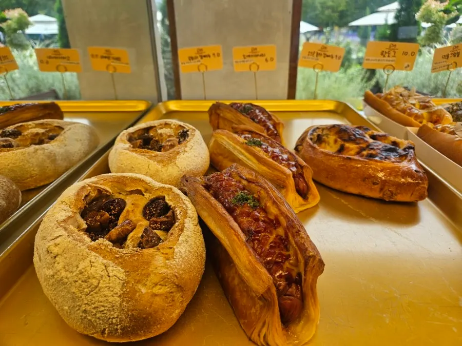 Display case full of freshly baked bread