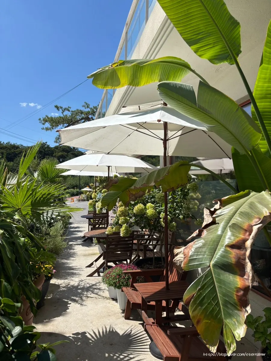 Café space connected to the garden