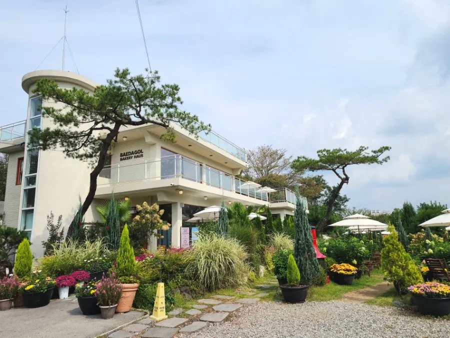Well-tended garden and long white building exterior