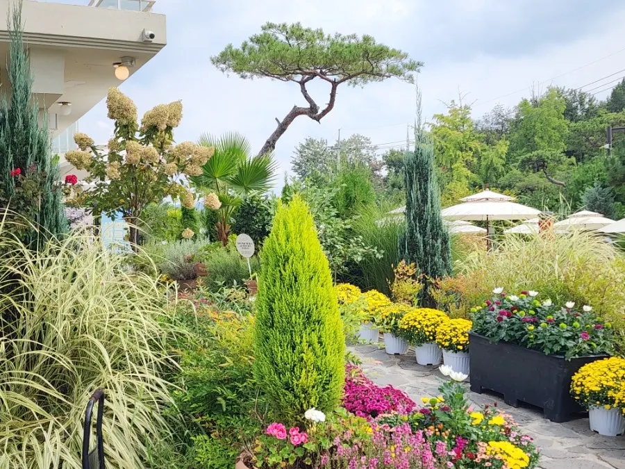 Outdoor café garden with potted flowers and green trees