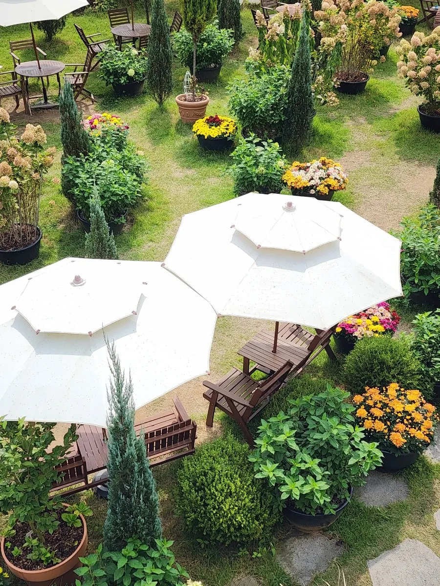 Parasol garden view seen from the 2nd-floor terrace