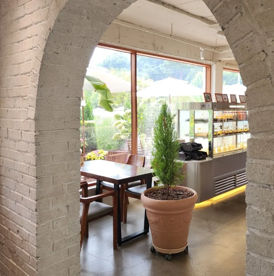 Bakery display case seen through an arch