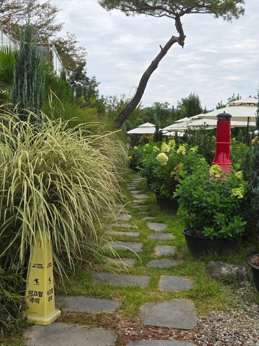 Parking spaces and garden in front of the café