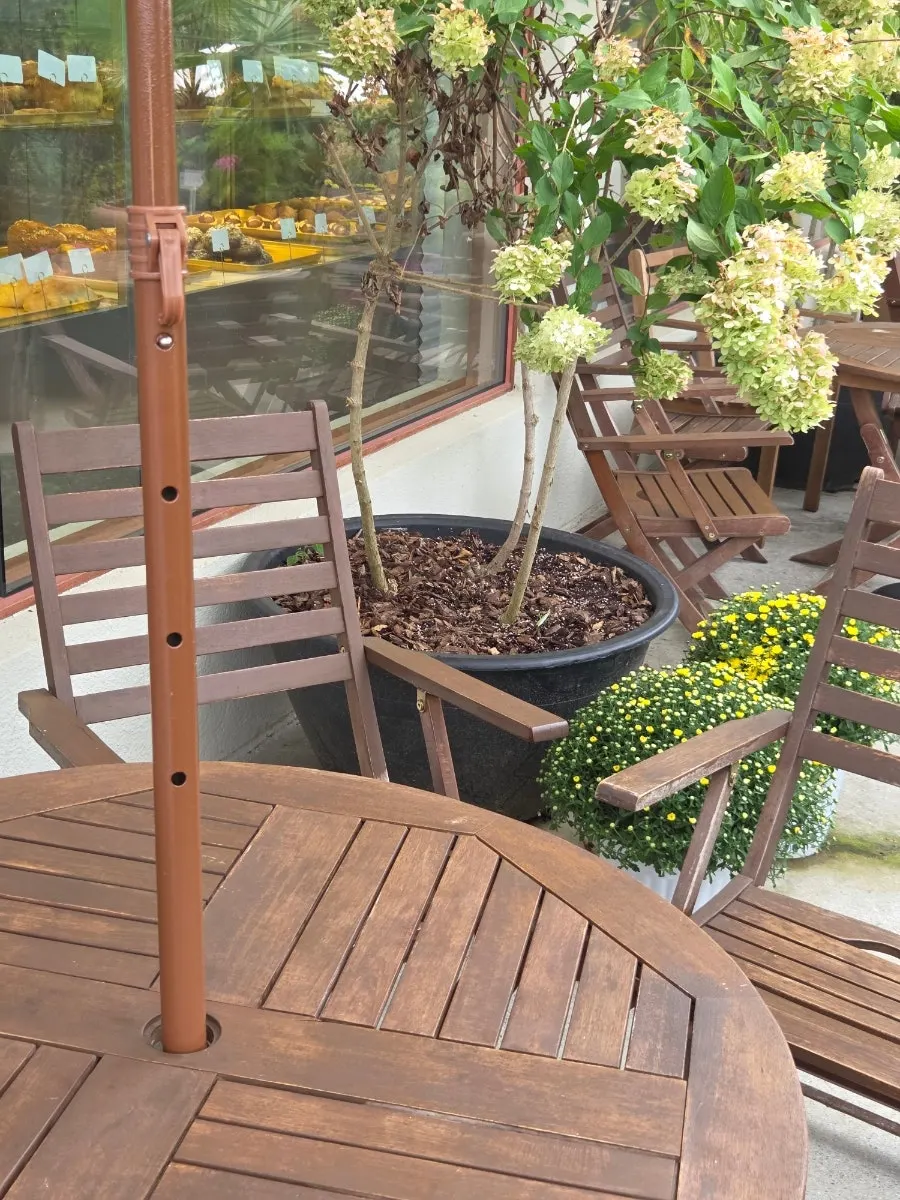 Café garden with trees and potted plants