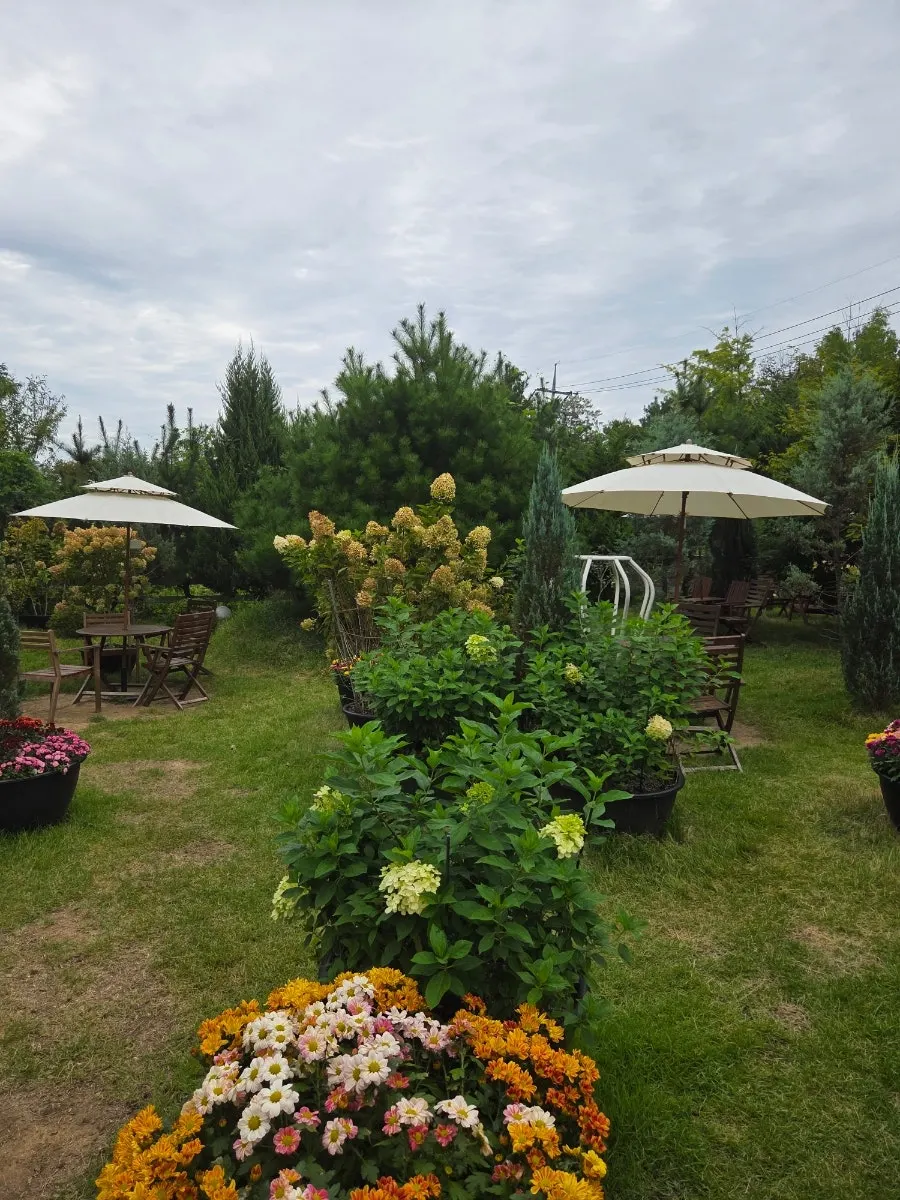 Garden with outdoor tables under parasols