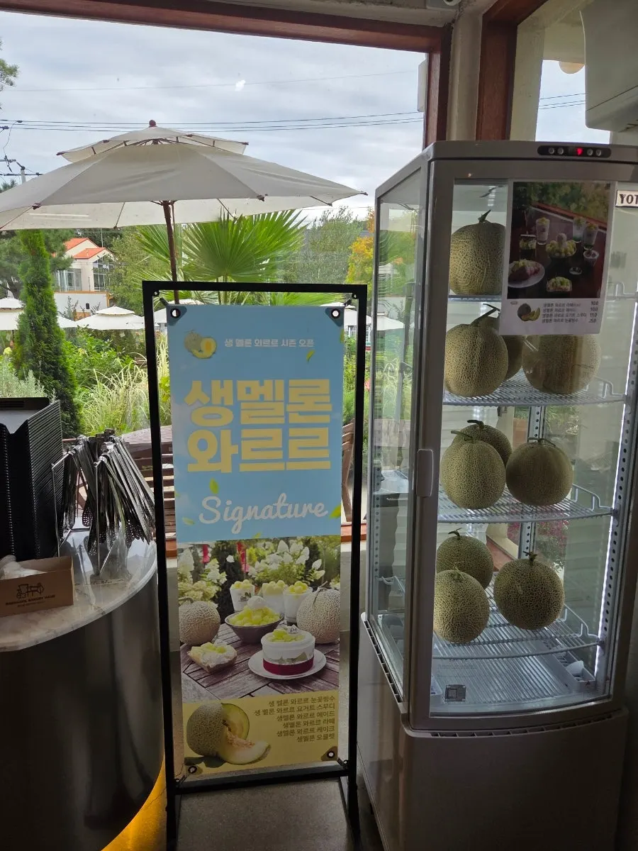 Melon-season drinks and bingsu menu