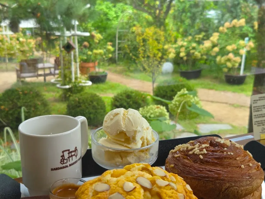 Window seat overlooking the green garden