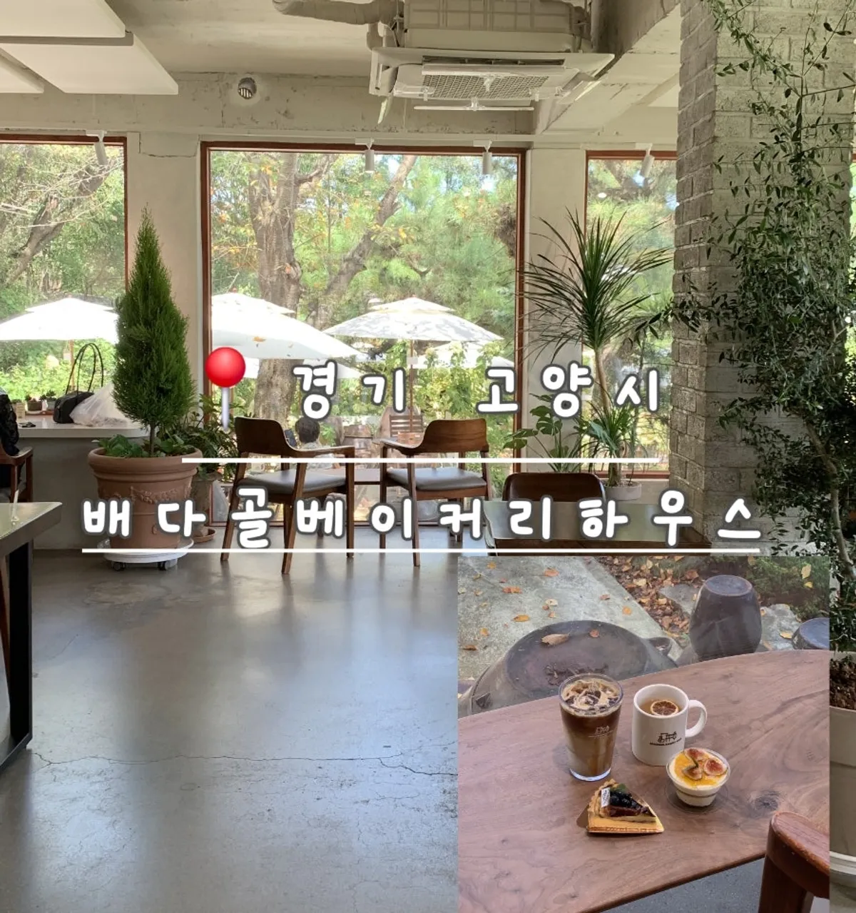 수국이 핀 배다골베이커리하우스 정원 전경
