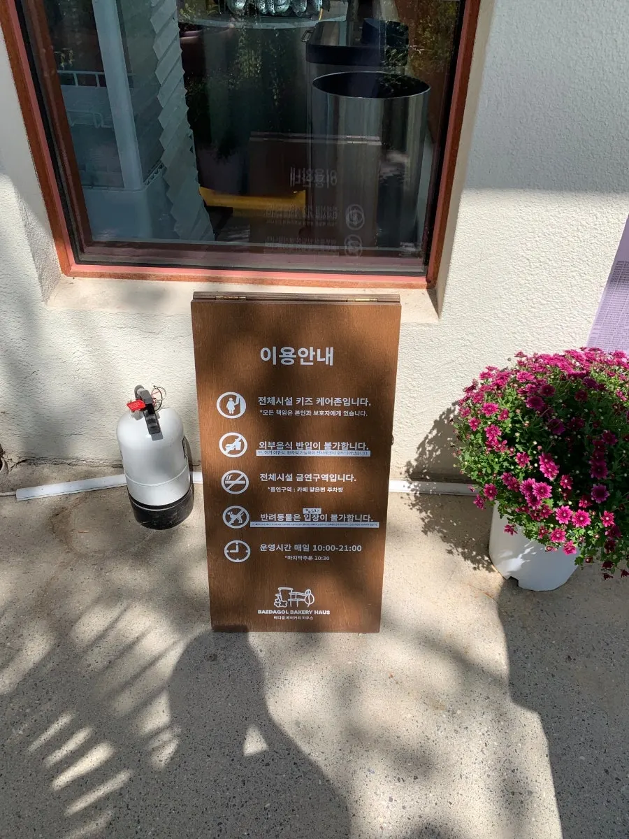 정원에 활짝 핀 수국