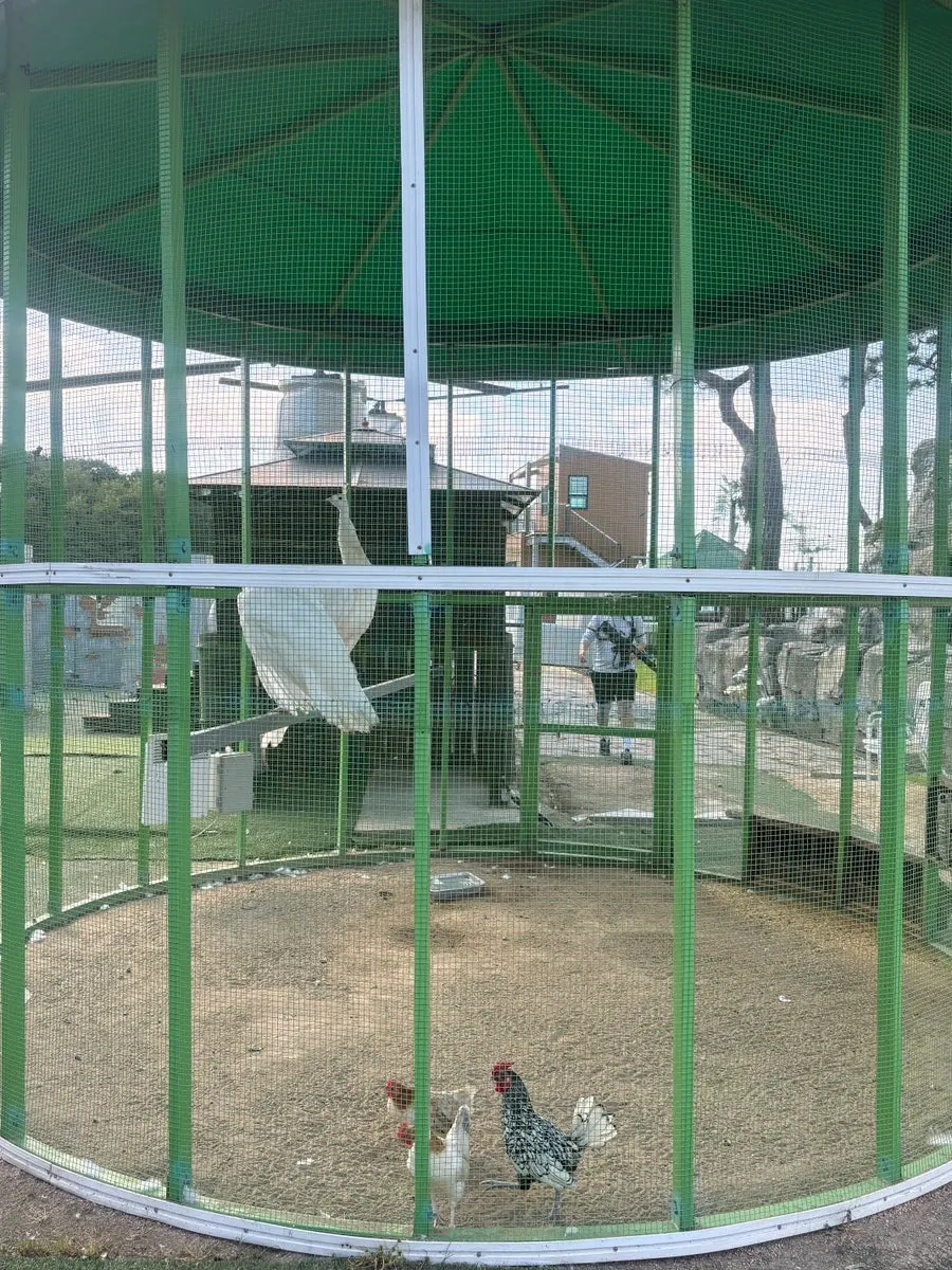 토끼와 앵무새 등 소동물 체험 공간