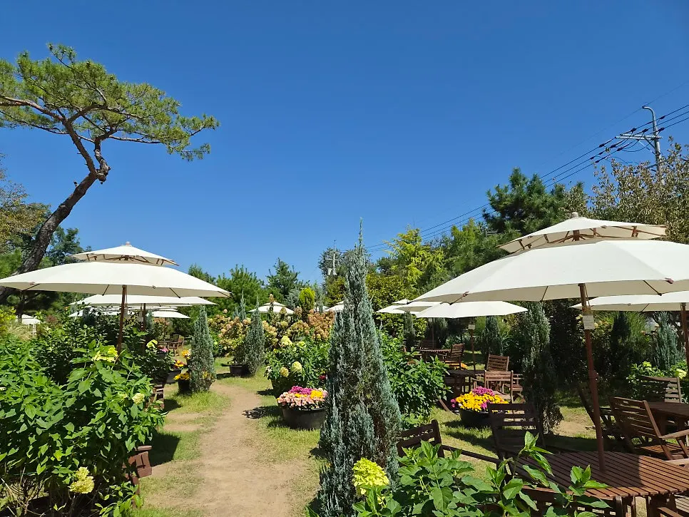 Outdoor terrace seating with flower and tree landscaping