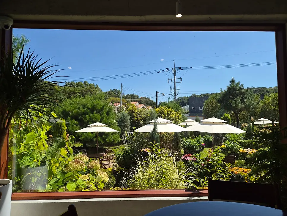 Sunlit window seat with a view outside