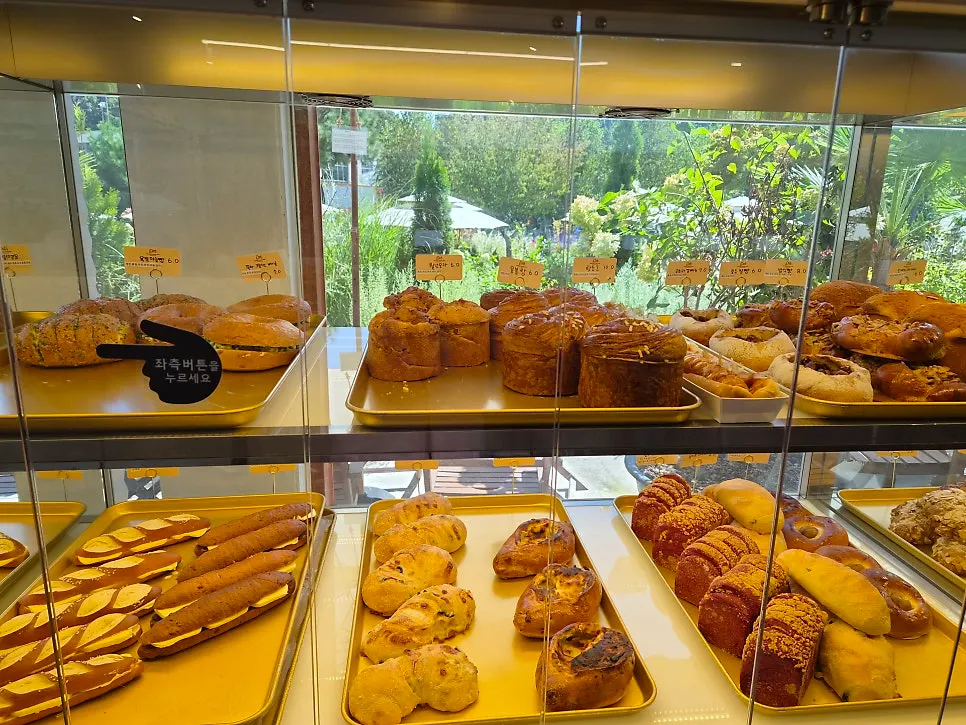Display of red bean butter baguette, scones and chestnut bread