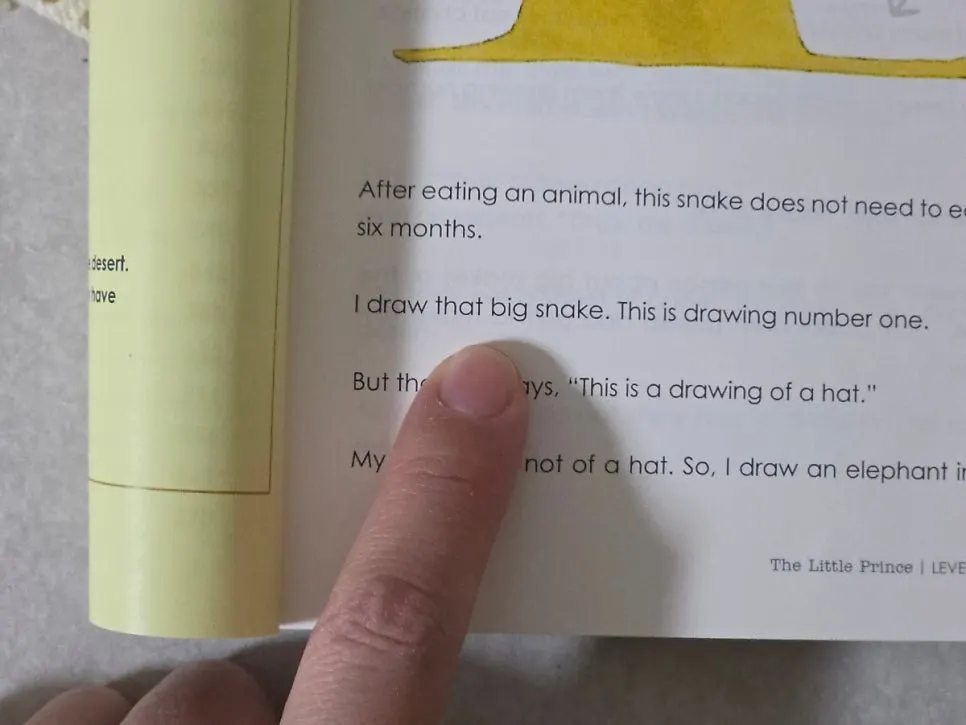 Stage 1 of The Little Prince using present-tense sentences