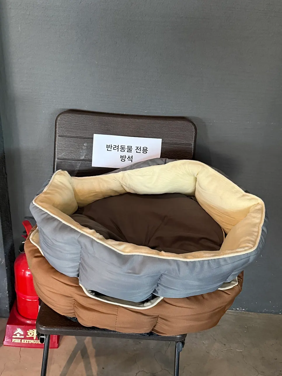 Decor and small items throughout the café