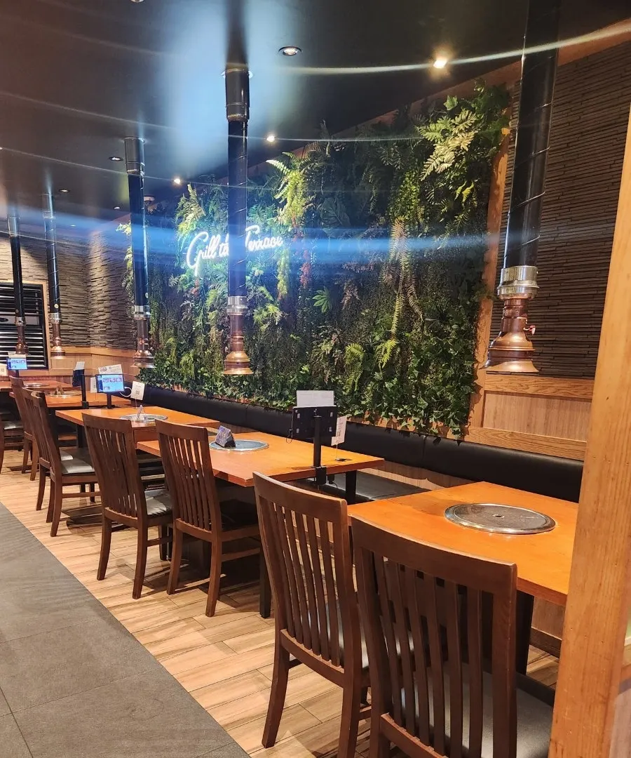 Interior seating with green plants