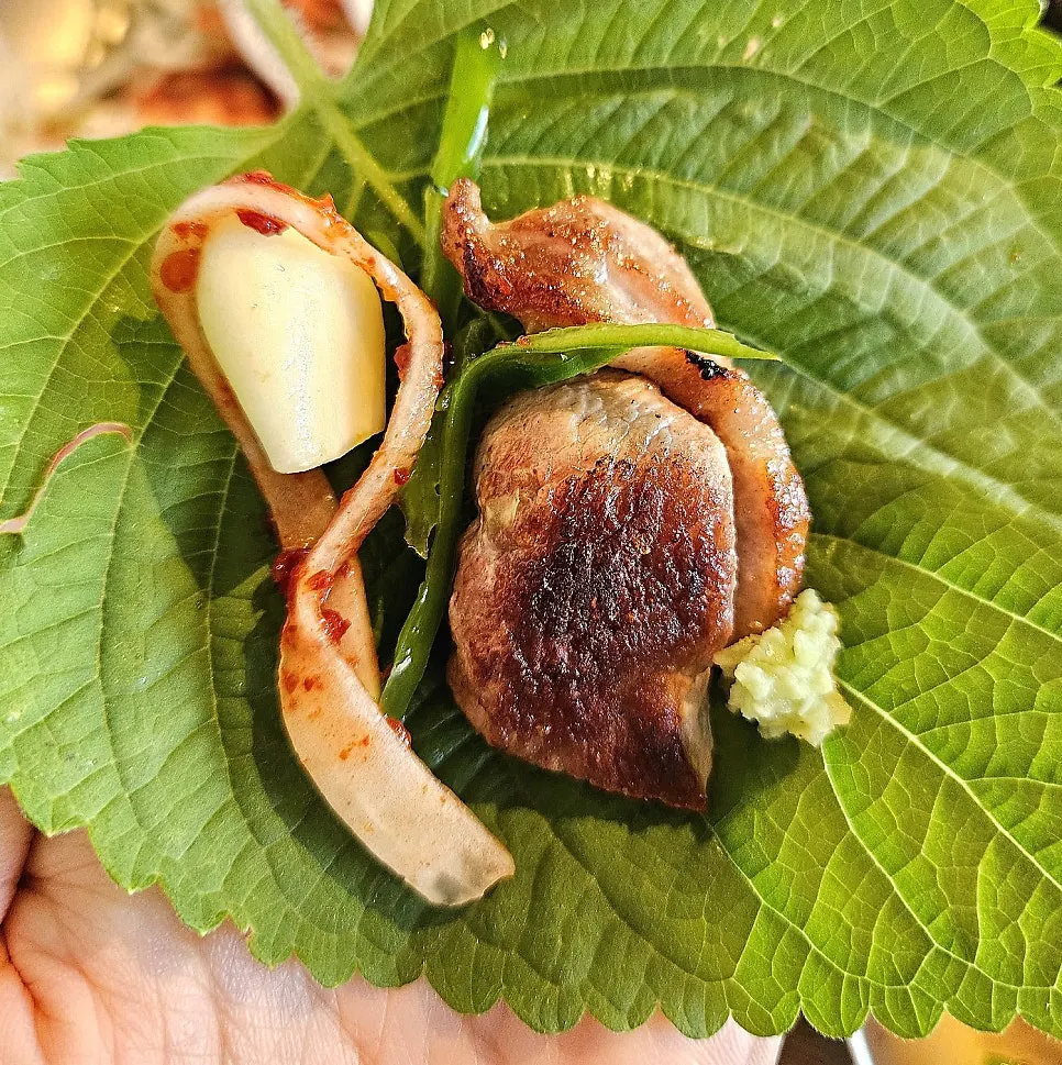 A golden-grilled piece of raw duck