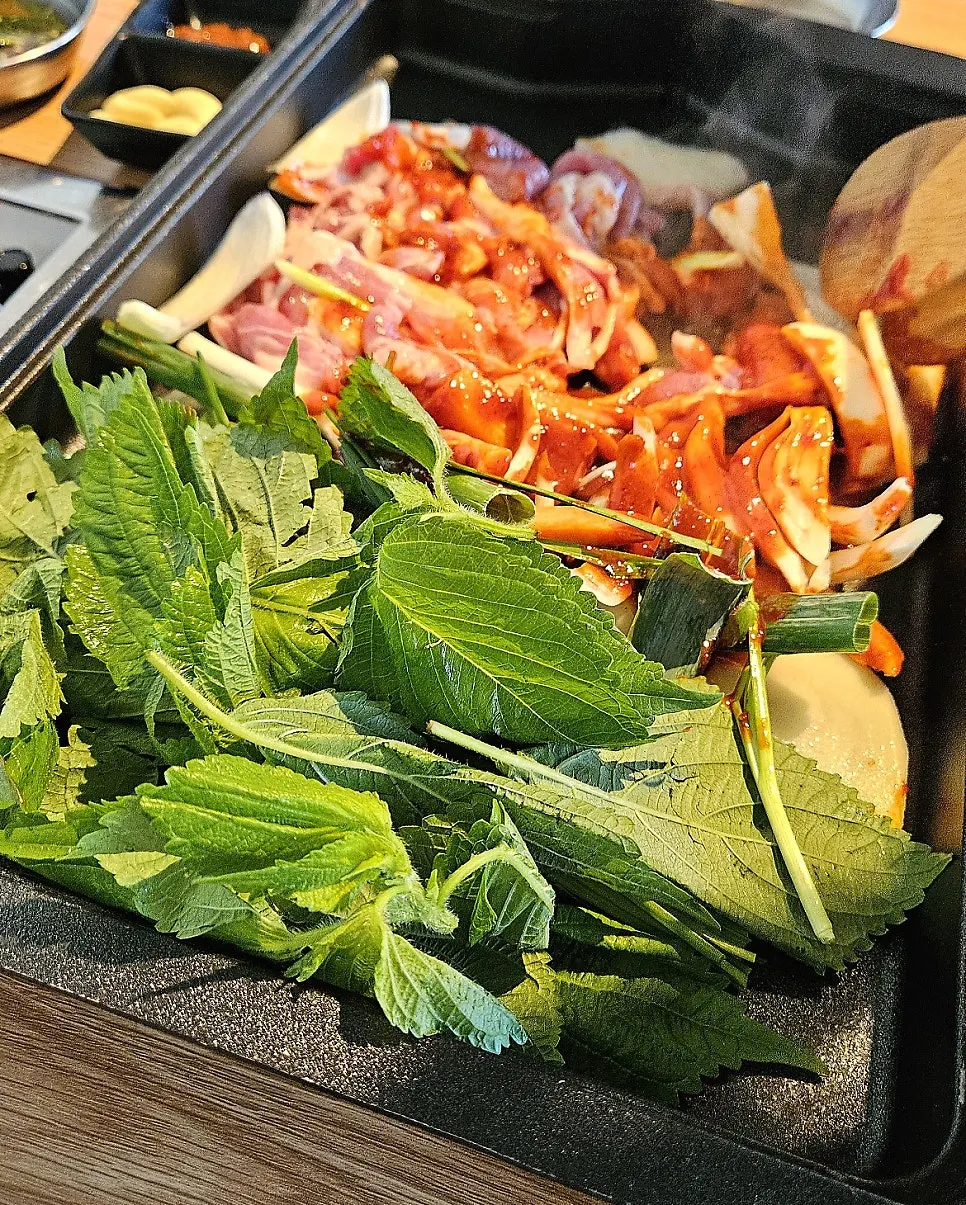Marinated duck loaded with vegetables