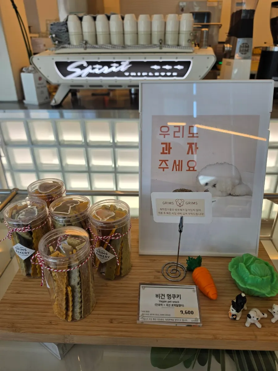 반려견용 비건 멍쿠키 판매 진열