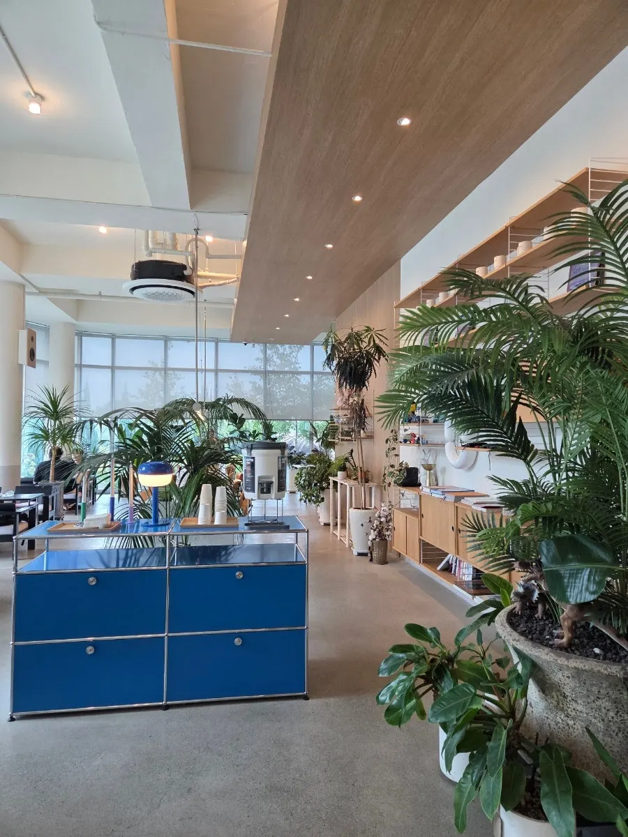 Interior dalam Geurimseu Cafe dengan banyak pot tanaman