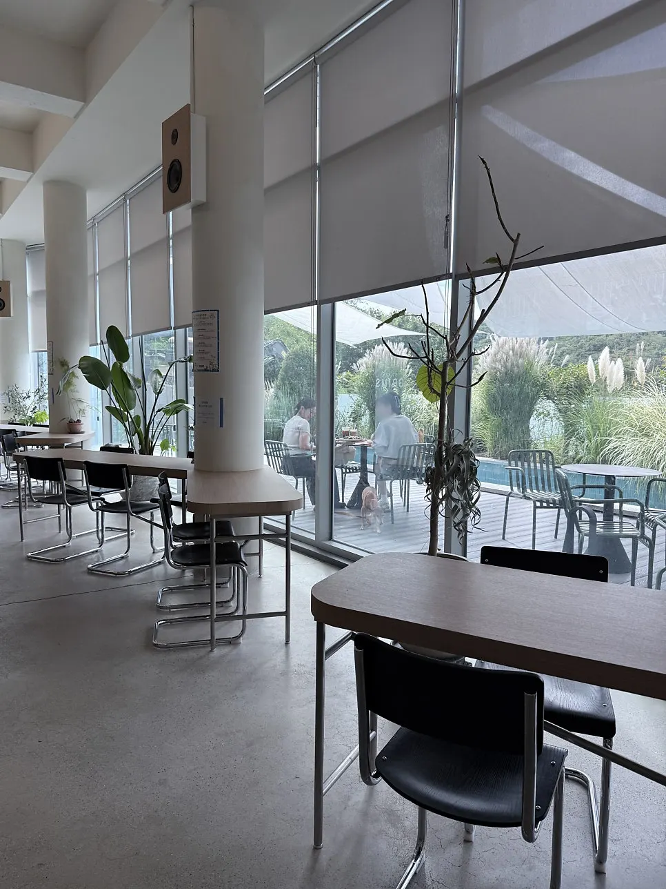 Café interior with generously spaced tables