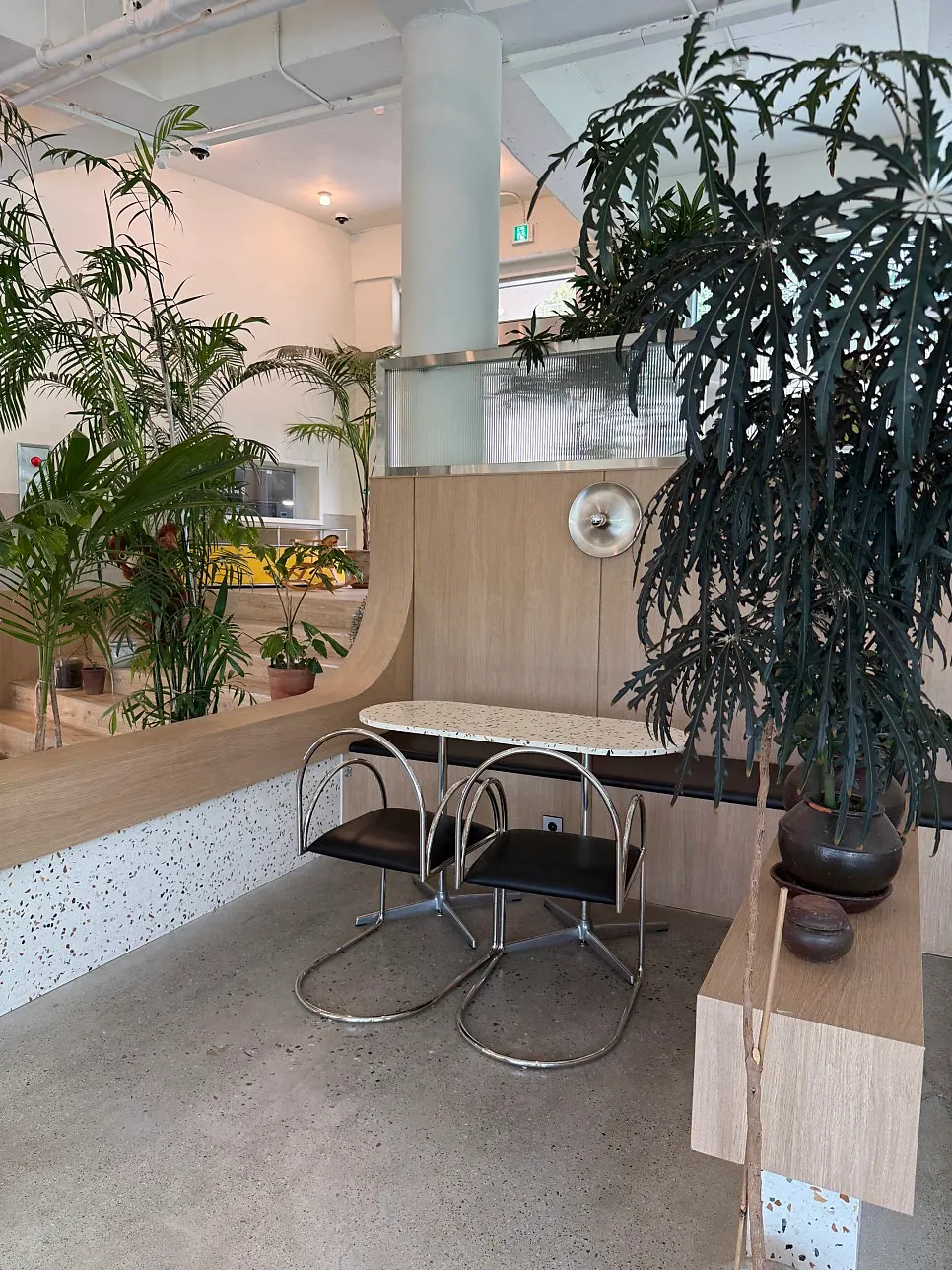 Large café interior with plants and big windows