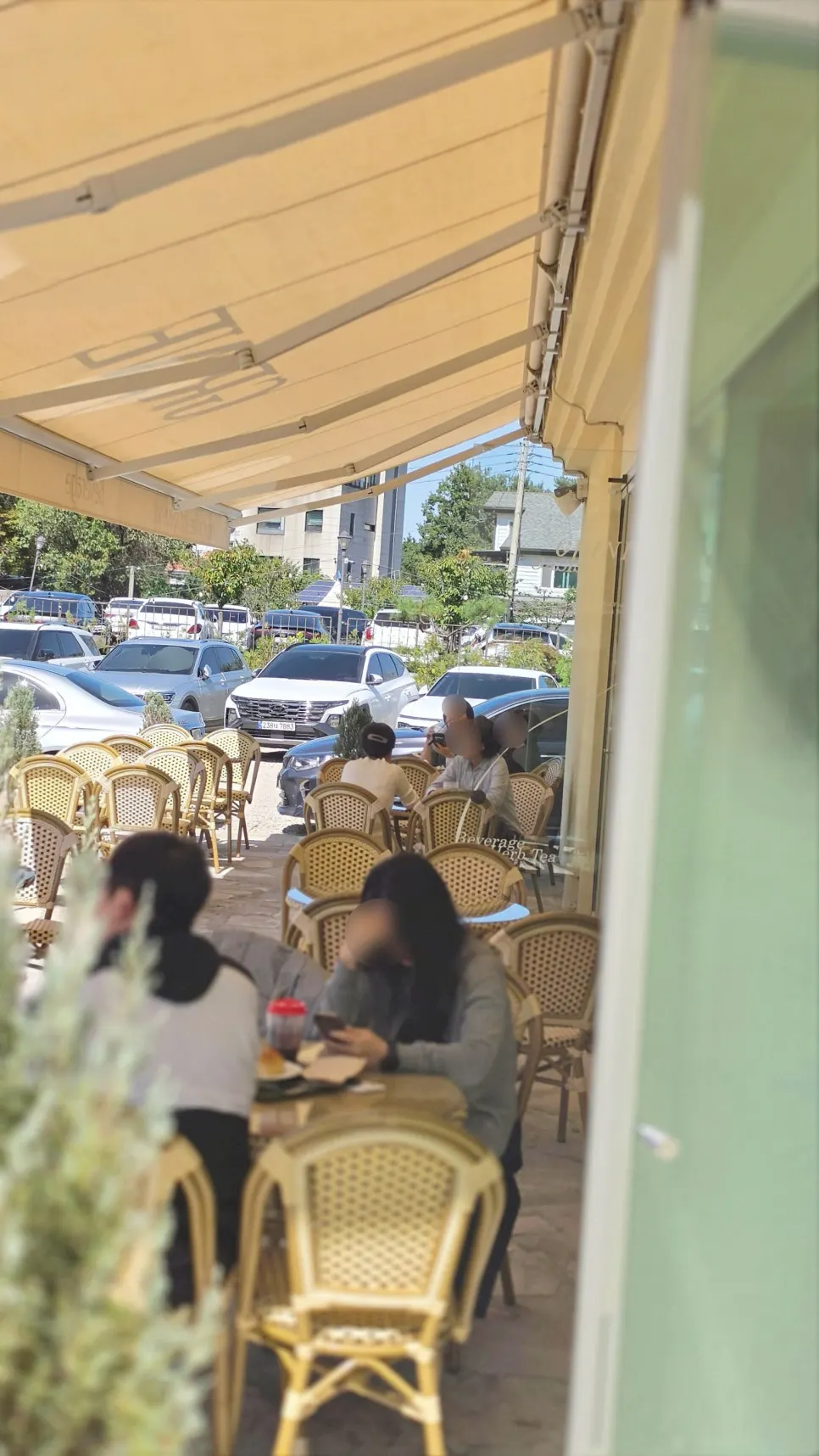 노란 파라솔이 놓인 그리네 오아시스 야외 정원 좌석
