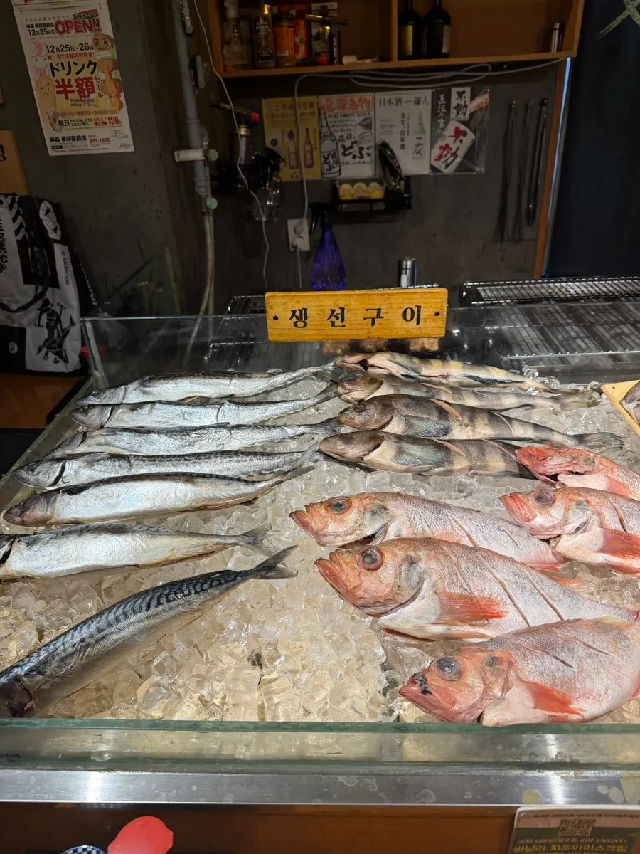 손질된 생선 진열대 확대 모습