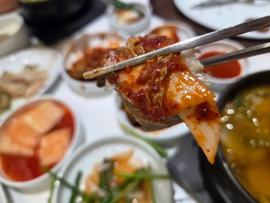 Wrapping boiled pork in lettuce with garlic ssamjang