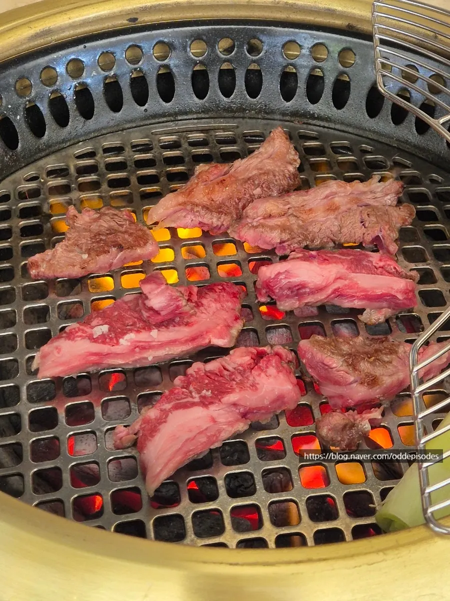 Plate of bright red hanwoo raw rib-eye