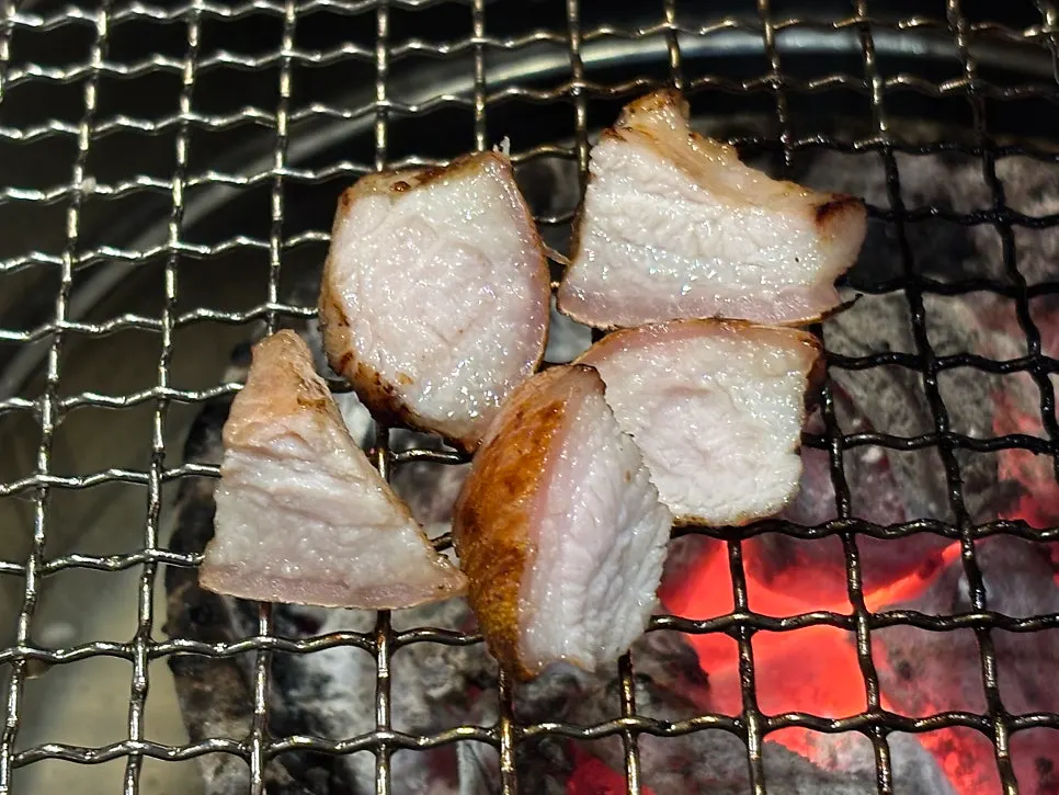 껍데기 붙은 두툼껍데기 단면