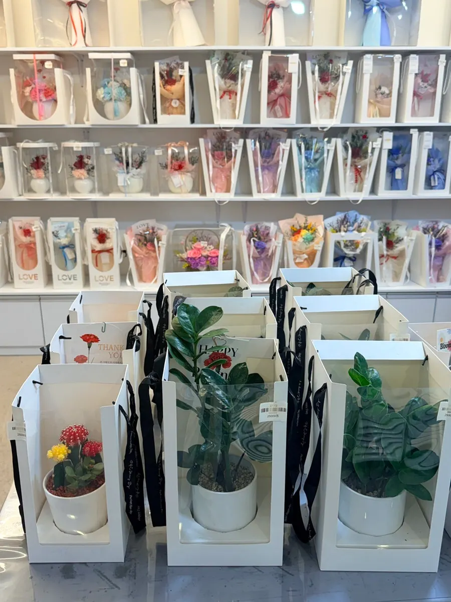Potted plants displayed in the shop