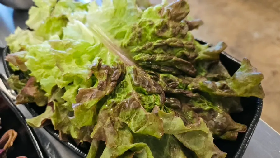 Lettuce and onion jaeraegi wrap vegetables